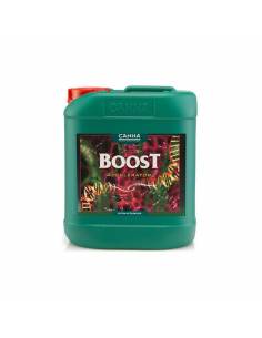 BOOST ACCELERATOR 5 LT