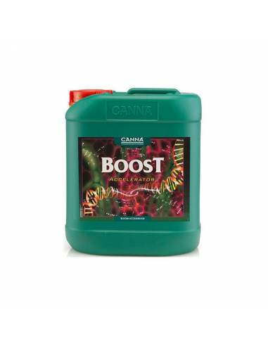 BOOST ACCELERATOR 5 LT