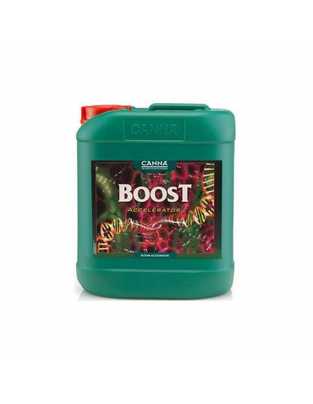 BOOST ACCELERATOR 5 LT