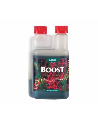 BOOST ACCELERATOR 1 LT