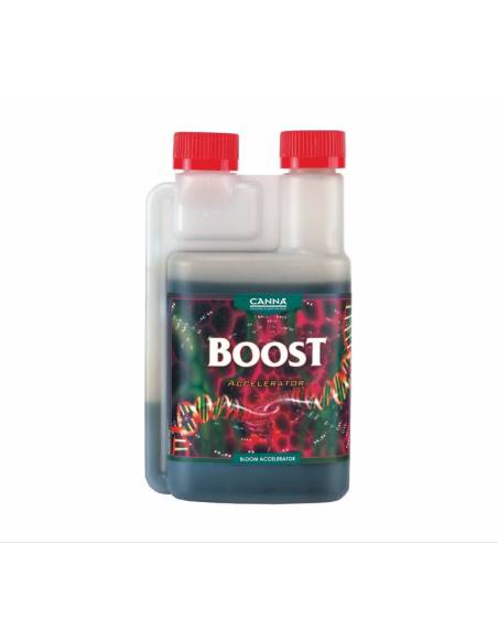 BOOST ACCELERATOR 1 LT
