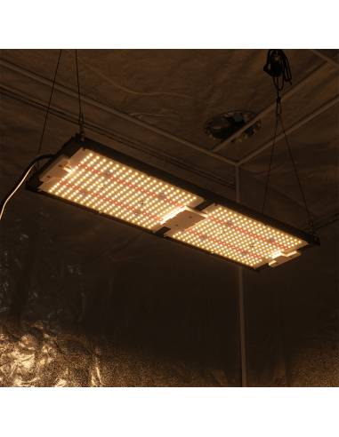 Samled S240 2024 Mean Well