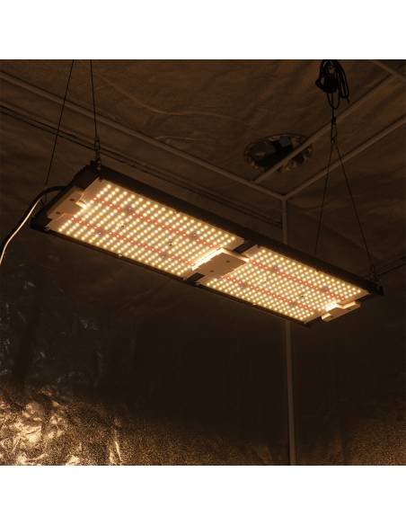 Samled S240 2024 Mean Well