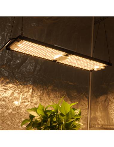 Samled S240 2024 Mean Well