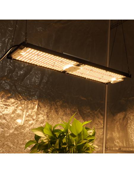 Samled S240 2024 Mean Well