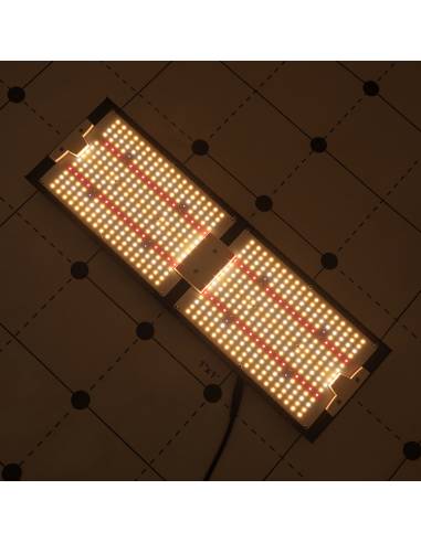 Samled S240 2024 Mean Well