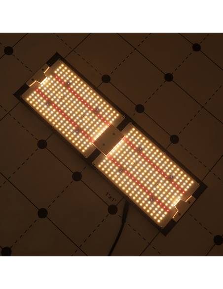 Samled S240 2024 Mean Well