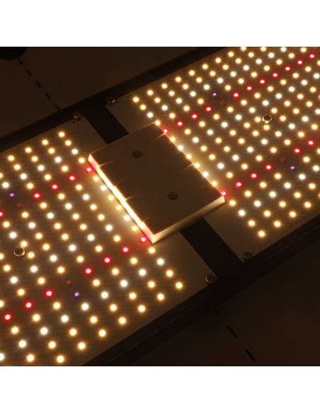 Samled S240 2024 Mean Well