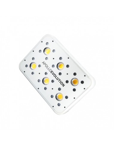 apollo evolution 6 delight luz led indoor