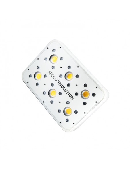 apollo evolution 6 delight luz led indoor