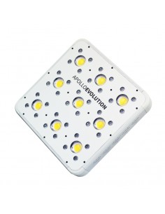 Apollo Evolution 9 2