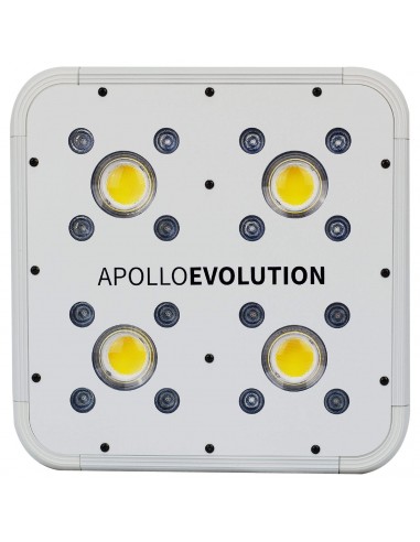 Apollo Evolution 4