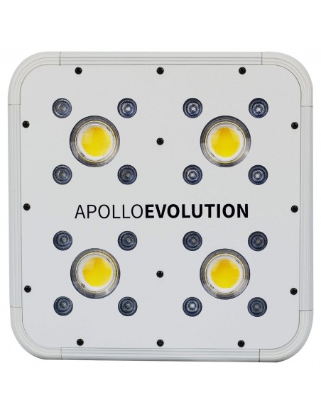 Apollo Evolution 4