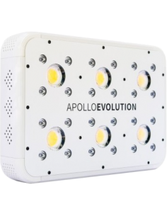 apollo evolution 6 2