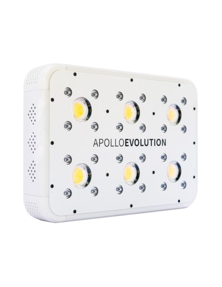 apollo evolution 6 delight