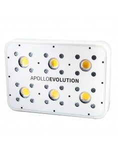 apollo evolution 6