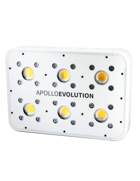 apollo evolution 6