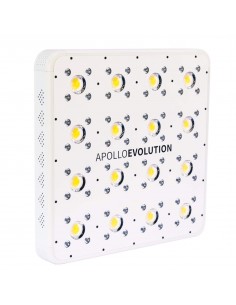 Apollo Evolution 16 2