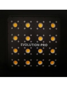 apollo avolution pro 16 2