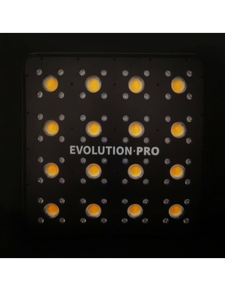 apollo evolution pro 16 luz led indoor