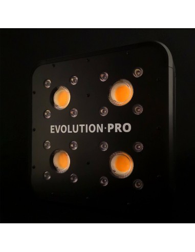 apollo evolution pro 4 luz led cob cultivo indoor