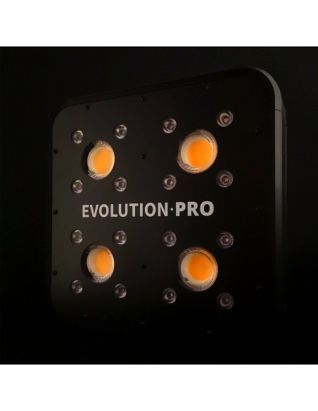 apollo evolution pro 4 luz led cob cultivo indoor