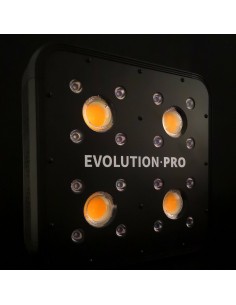 apollo evolution pro 4 luz led cob cultivo indoor 2