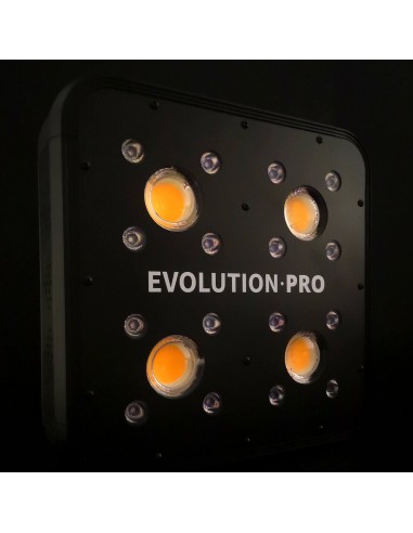 apollo evolution pro 4 luz led cob cultivo indoor