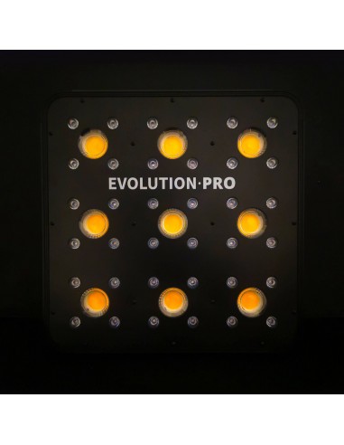 apollo evolution pro 9 led cob cultivo indoor