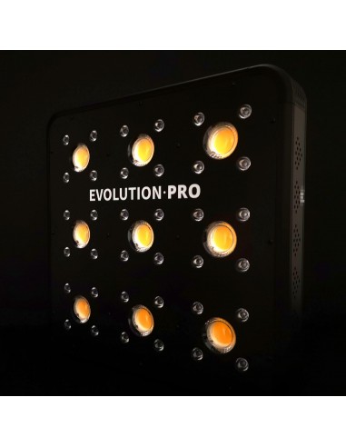 apollo evolution pro 9 delight led cob cultivo indoor