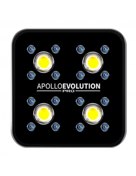 apollo evolution pro 4 luz led cob cultivo indoor