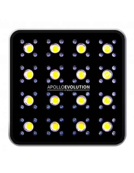 apollo avolution pro 16